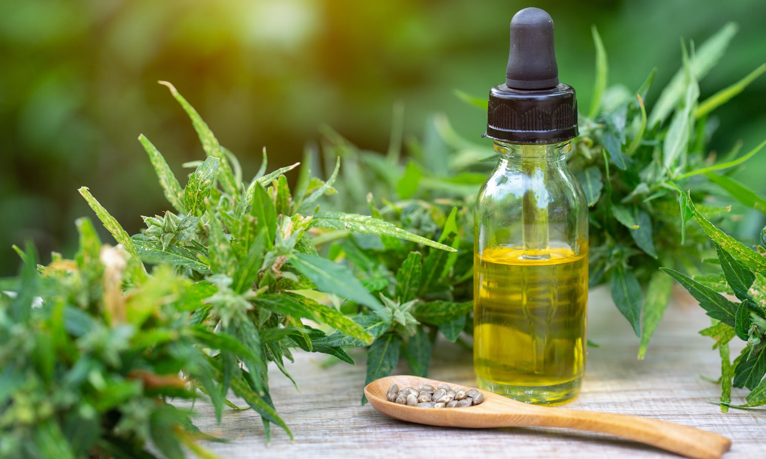 CBD Offers on CBD Oil