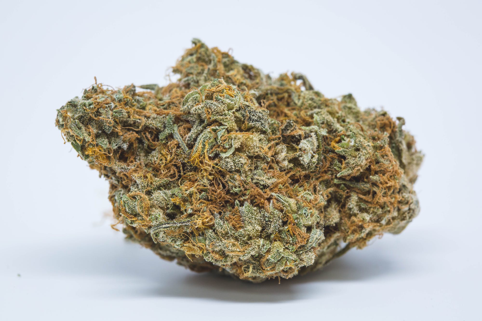 Granddaddy Wonder Marijuana Strain